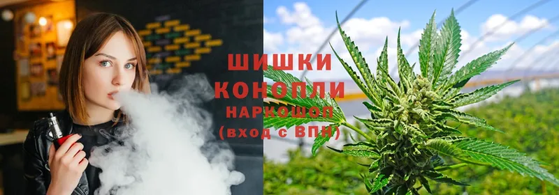 что такое   Клинцы  Канабис SATIVA & INDICA 